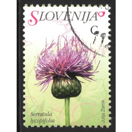 SLOVENIA 2007: FLORA - C SERRATULA LYCOPIFOLIA USED (G22)