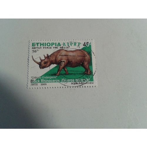 2005 BLACK RHINOCEROS 45c