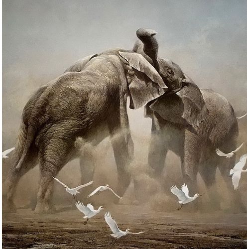 Robert Bateman SPARRING ELEPHANTS Vintage Print Poster Wall Art Decor wildlife