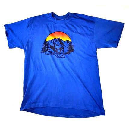 Idaho Souvenir Single Stitch Blue T-Shirt Men's XL Vintage (T10J)
