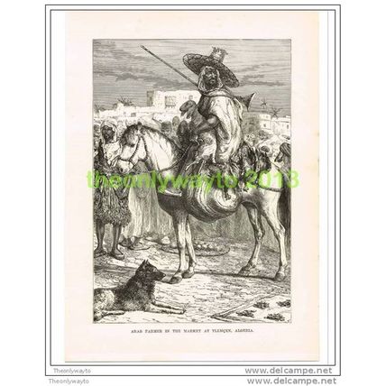 ARAB FARMER, TLEMCEN, ALGERIA, PRINT c1890