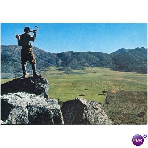Greece Postcard - Cretan Shepherd