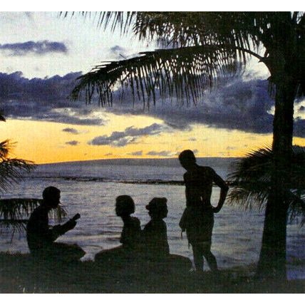Living Strings Play Music of Hawaii LP Vinyl Record Album Living Stereo (P2)