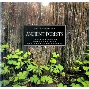 Ancient Forests - A Celebration of North America's Old-Growth Wilderness by Davi