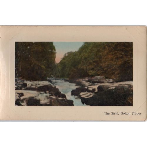 ETW Dennis & Sons Postcard The Strid Bolton Abbey Yorkshire 1910