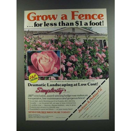 1986 Jackson & Perkins Ad - Grow a Fence
