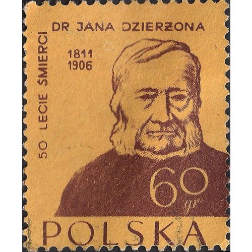 POLAND, BEE-KEEPING, Father Jan Dzierzon, brown on yellow 1956, 60 Gr