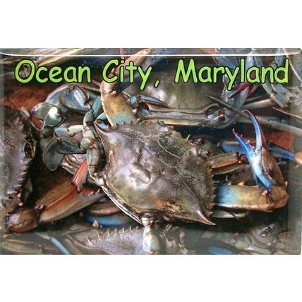 Ocean City Maryland with Blue Crab Fridge Magnet