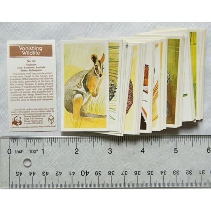 1978 complete set 40 Brooke Bond Vanishing Wildlife - loose