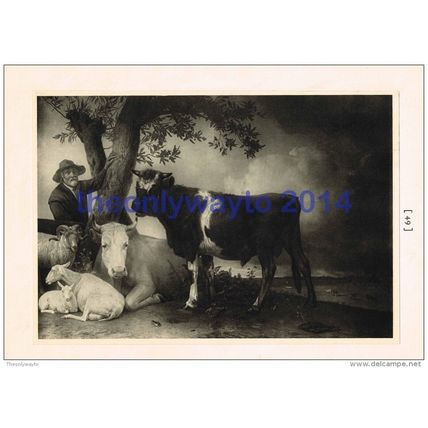 Young Bull - Paul Potter, 1902