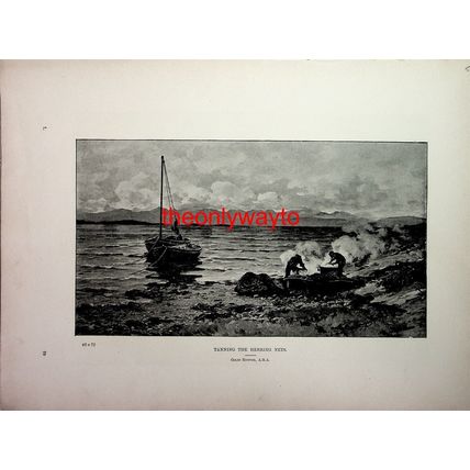 Tanning The Herring Nets (Motherless On Reverse), Book Illustration, 1895