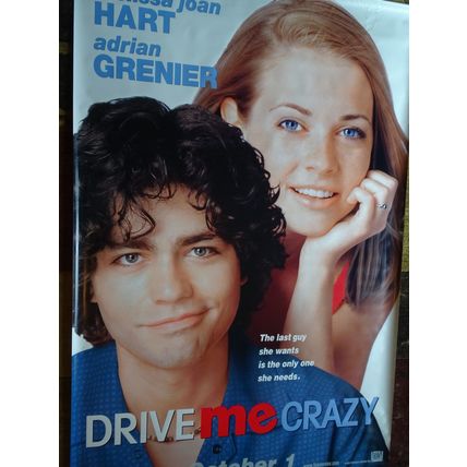 DRIVE ME CRAZY - MOVIE BANNER WITH MELISSA JOAN HART AND ADRIAN GRENIER-VINYL