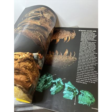 National Geographic Magazine June 1999 Cuba Vintage Collectable w