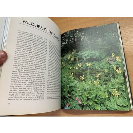 1983 "HEATHER ANGEL'S COUNTRYSIDE" PHOTO ILLUSTRATED HARDBACK BOOK (P5)