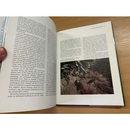 1983 "HEATHER ANGEL'S COUNTRYSIDE" PHOTO ILLUSTRATED HARDBACK BOOK (P5)