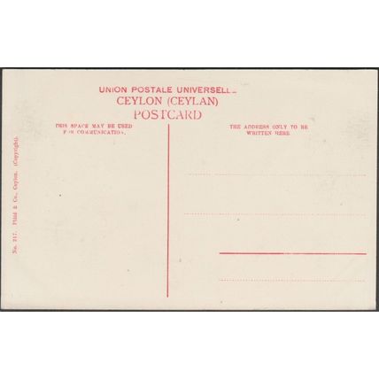 Moonlight on the Bambalapitiya Shore, Colombo, c.1905-10 - Plâté Postcard