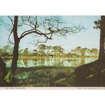 High Pond River Lake Lartington Durham Rare Womens Institute Photo Postcard