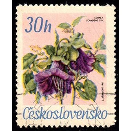 Czechoslovakia 1967 Flower 30h Used Stamp