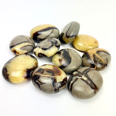 Septarian "Dragon Stone" | Palmstone | 40-50mm | Madagascar[ ]