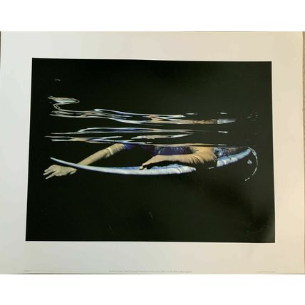 Large Wall Art Print “ Gliding Through “by Rachel Fearnley, 50cm x 40cm