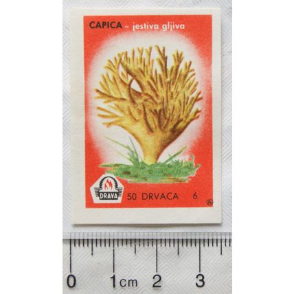 vintage Matchbox Label - 50 Drvaca - Capica