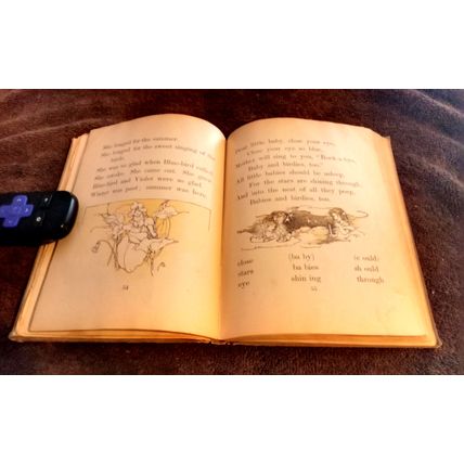Old Vintage Basic Reader AFirst Reader By Spaulding & Bryce 1906