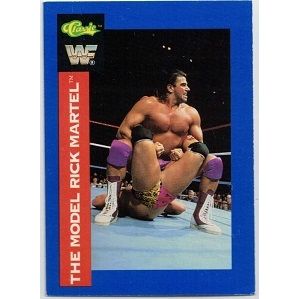 WWF ' CLASSIC ' card # 41 BUSHWACKERS (1991)