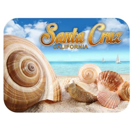 Santa Cruz Beach California Fridge Magnet