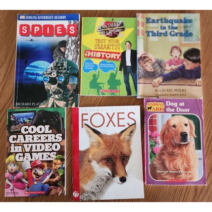 Lot of 6 Paperback Children's Books Spies Foxes Dog at Door Earthquake Smarter