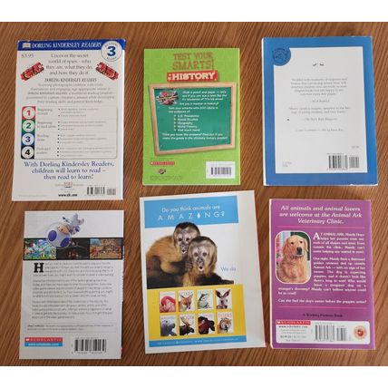 Lot of 6 Paperback Children's Books Spies Foxes Dog at Door Earthquake Smarter
