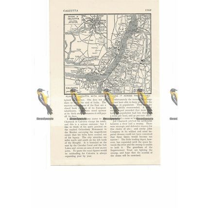 Calcutta (Kolkata), Map, India, Book Illustration, c1920