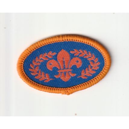Scout Badge - Chief Scout Bronze Award - 2000's - Black Back (PFO)