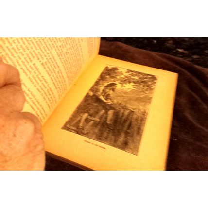 Children's Book Robinson Crusoe &The White Cat By McLoughlin Bros Circa 1900