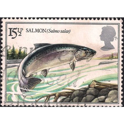 GB, FISH, Salmon, grey 1983, 15½p