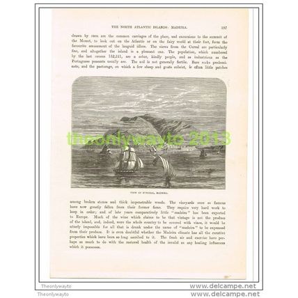 VIEW OF FUNCHAL MADEIRA, Book Illustration c1890