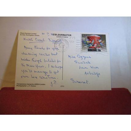 A CAT used postcard by Colourmaster 1984 pm animals =
