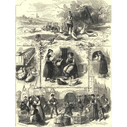 PATE DE FOIE GRAS AT STRASBURG 1872 Paul de Katow VICTORIAN ENGRAVINGS