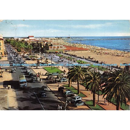 D025206 Viareggio. Seaside Avenues. Alterocca Terni
