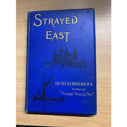 RARE* 1889 REVEREND BUCKLAND STRAYED EAST ILLUSTRATED FICTION ANTIQUE BOOK (P3)