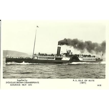 Williamson Buchanan PS ISLE OF BUTE Postcard (Brown M18)