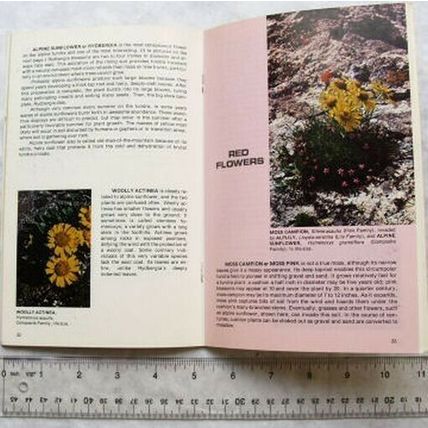 1981 Rocky Mountain Wildflowers by Kent & Donna Dannen