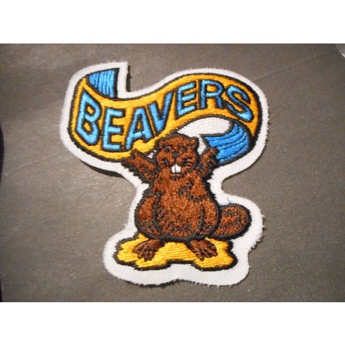 Boy Scouts,Beavers Patch