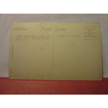 NATURAL HISTORY MUSEUM, LONDON unused antique postcard by Valentine c.1904 #