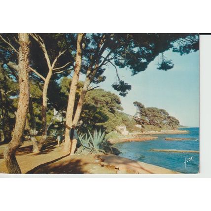 (83) CARQUEIRANNE La Plage et ses Arbres Centenaires - Editions d'art YVON