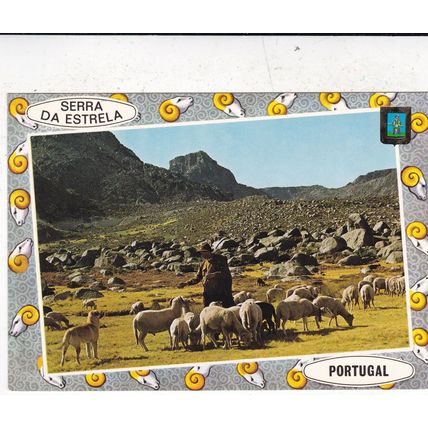 Serra da Estrela Portugal Postcard posted used VGC