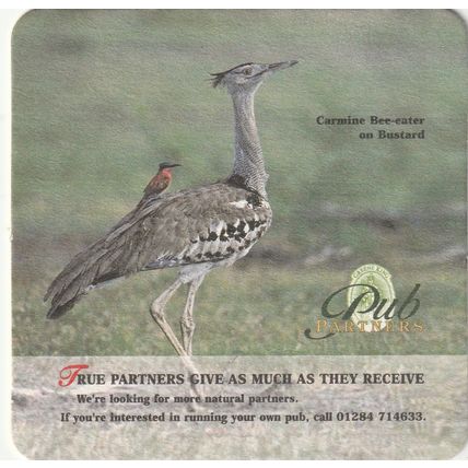 BEER MAT - GREENE KING BREWERY - PUB PARTNERS - (Cat No 167) - (1999)