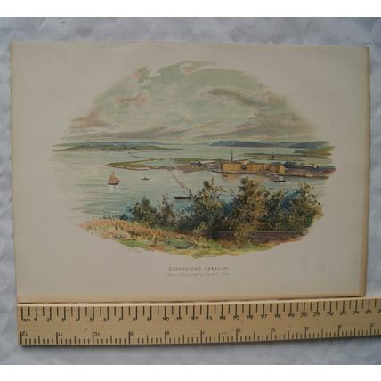 Vintage: coloured engraving - Queenstown Harbour