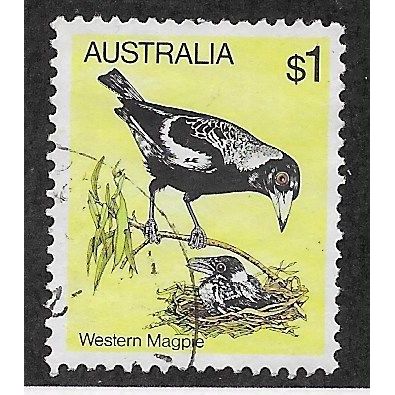 AUS 1980 $1.00 'BIRDS - WESTERN MAGPIE' FINE USED (EBID68-017)