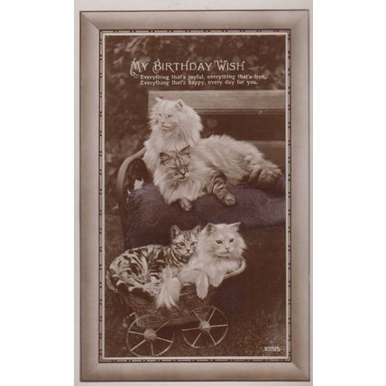 Cats In A Unique Transportation Pram Device Happy Birthday Greetings Postcard