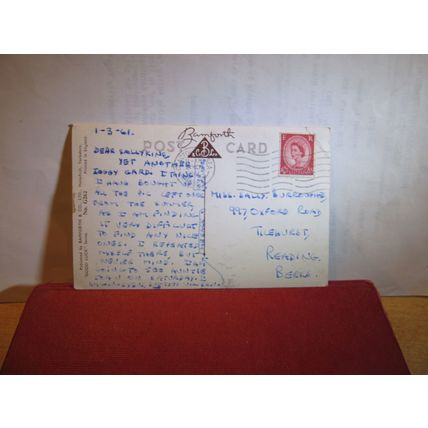 WHITE DOGGY by D. Tempest used POSTCARD BAMFORTH & CO 1961 pm =